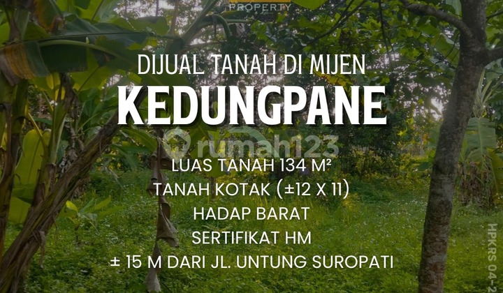 For Sale: Land Near Lake in Kedungpane Mijen Semarang 1