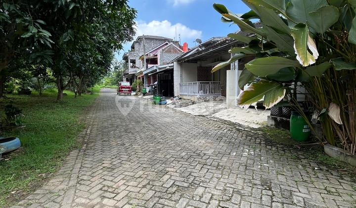 Rumah Cantik dan Murah di Greenwood Semarang, Full Furnished 2
