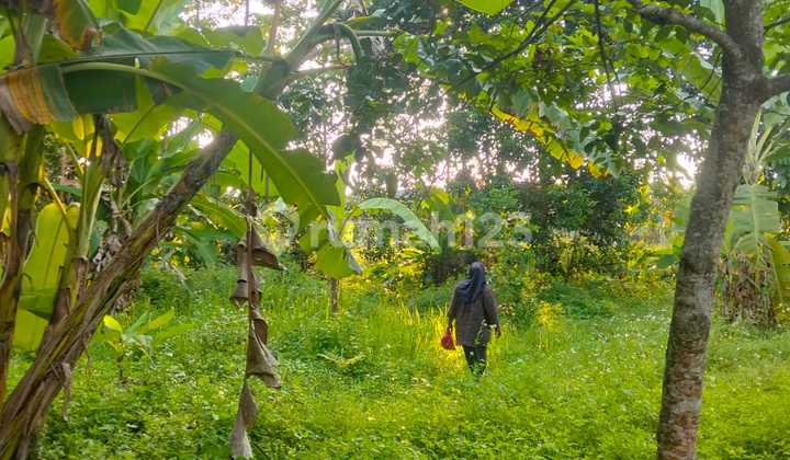 For Sale: Land Near Lake in Kedungpane Mijen Semarang 2