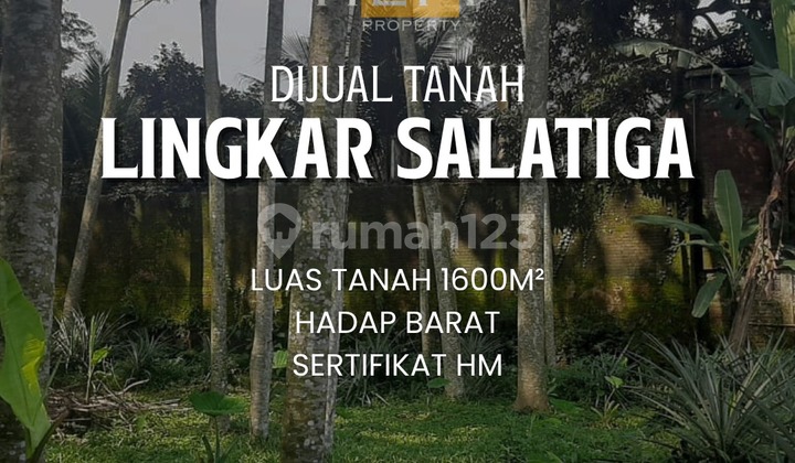 Cheap Land by Main Road in Salatiga Ring Road Cheap Land by Main Road in Salatiga Ring Road