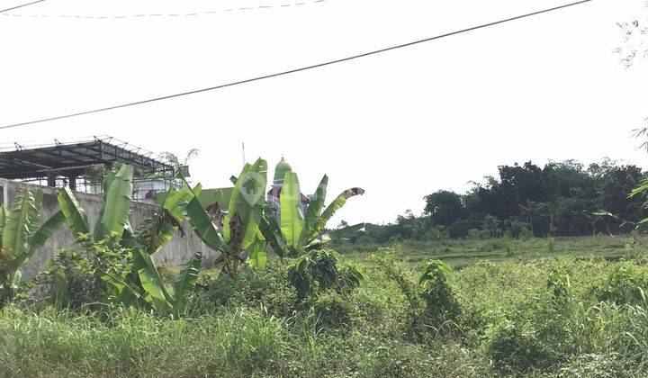 Dijual Tanah Lokasi Bagus Di Jamblang Plumbon 2