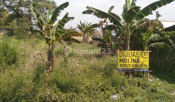 Dijual cepat tanah lokasi Pantura-SHM 1