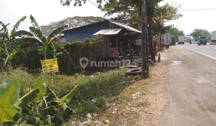 Dijual cepat tanah lokasi Pantura-SHM 2