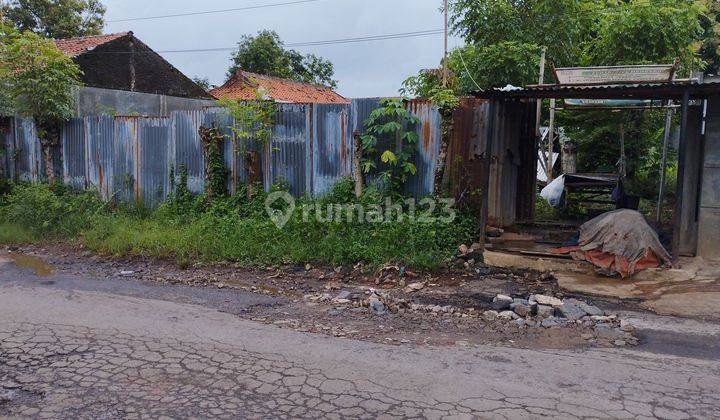 Disewakan Lahan Cocok Untuk Aneka Usaha Di Lemah Abang 2