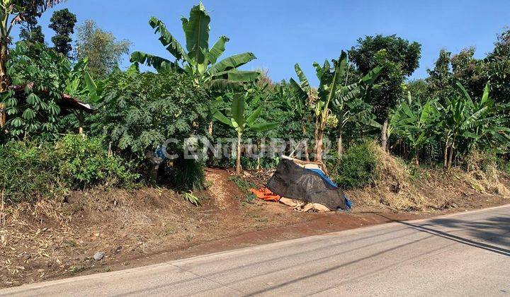 Lahan Investasi Cocok Untuk Pariwisata Di Cianjur 1