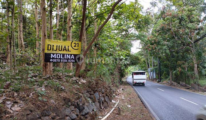 Tanah Kebun Jati Di Mandirancan Kuningan 1