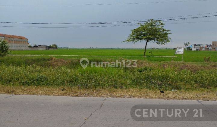 Lahan Kosong Lokasi  Strategis Di Karang Wareng 2