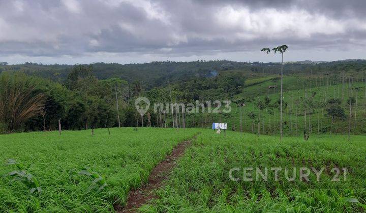 Tanah Kosong  Lokasi Strategis Di Sukabumi 2