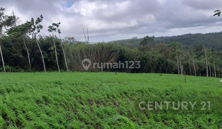 Tanah Kosong  Lokasi Strategis Di Sukabumi 1