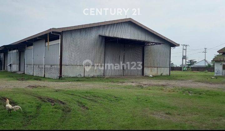 Tanah & Gudang Di Jl Raya Pantura Gebang 2