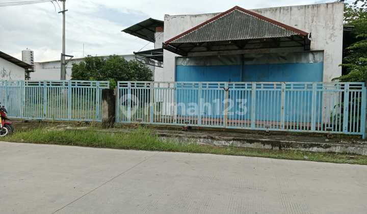 Gudang Strategis Dekat Jalan Tol  Di Plumbon 1
