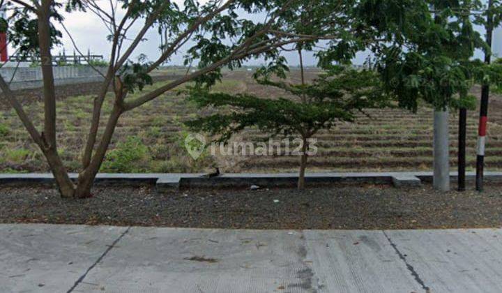 Tanah Padat Di Brebes, Sebelah Kantor Bupati 2