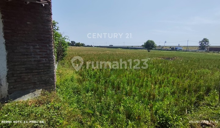 Tanah Sawah Samping Tol Ciledug Dekat Kawasan Industri Cirtim