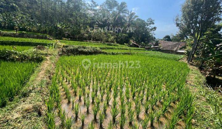 Tanah Murah Strategis Di Cikadu Kuningan  2