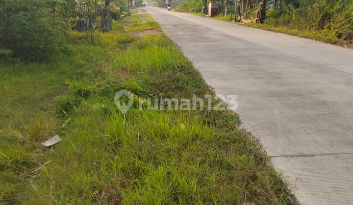Dijual Tanah Cocok Di Cisaat Cibogo Waled 1