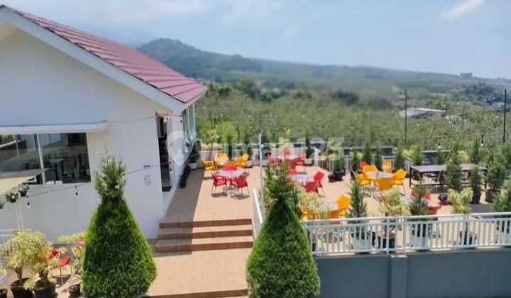 Hotel on Tulungrejo Street, Bumiaji, Batu, Zero Main Road