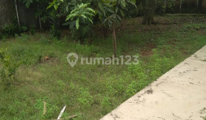 Ancient house for sale with a spacious yard. 2