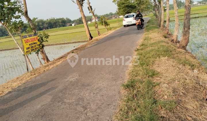 Dijual Tanah Sawah Lokasi Nol Jalan Raya, Dekat Stadion Caruban