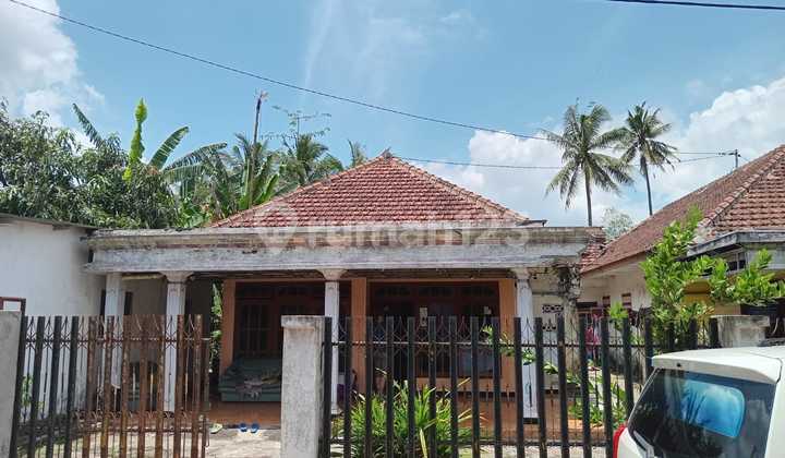 Jual Tanah Bonus Bangunan Lokasi Kepanjen Dekat Jalibar Jual Tanah Bonus Bangunan Lokasi Kepanjen Dekat Jalibar