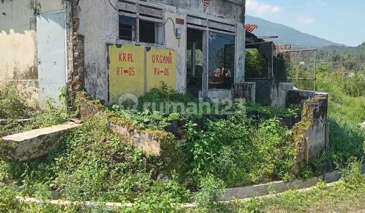 Tanah Shm Dengan Luas 2500 Meter Persegi Letter L Posisi Hook