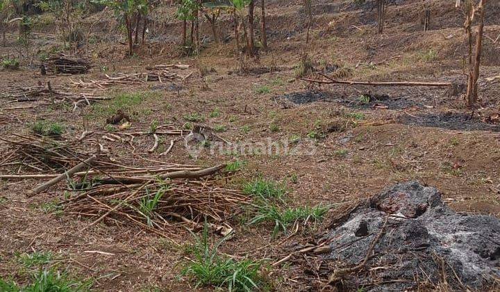 Dijual Tanah legalitas SHM seluas 5000 m² 1