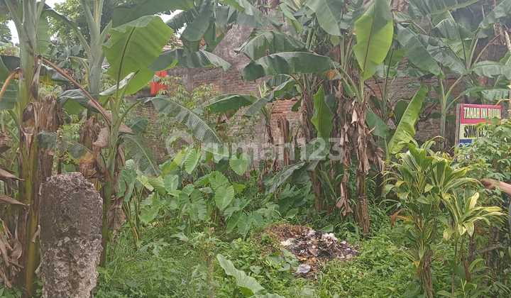 Flood-Free, Land, Certificate of Ownership, Suitable for Building Boarding Houses Flood-Free, Land, Certificate of Ownership, Suitable for Building Boarding Houses