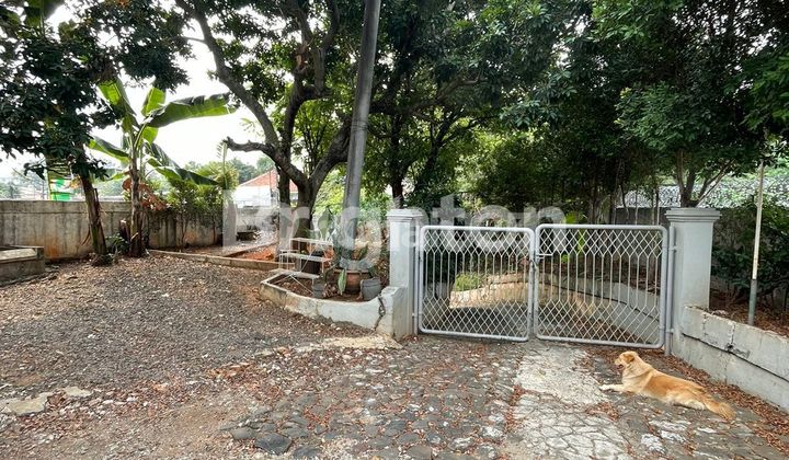 RUMAH DAN TANAH YANG LUAS 2