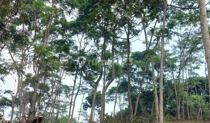 Jual Kavling Di Puncak 2 Bogor View Gunung Hanjawong 2