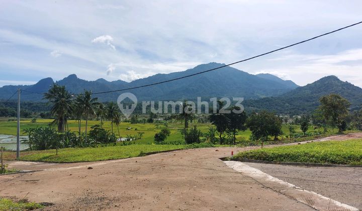 Jual Tanah Kavling Murah Legalitas Aman Lokasi Strategis