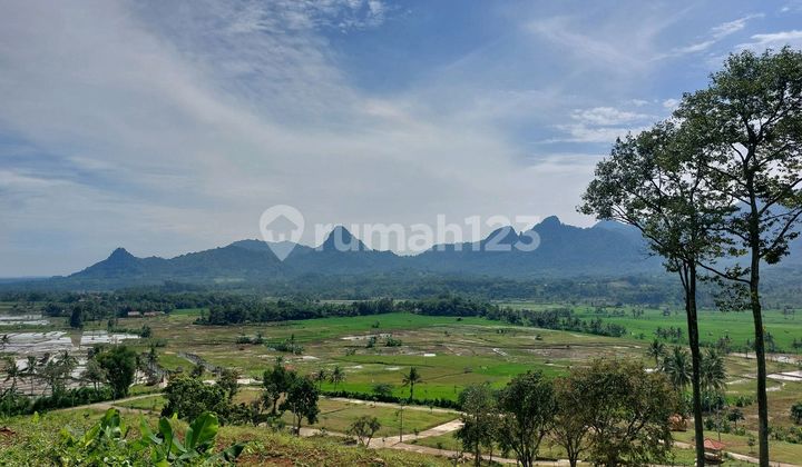 Jual Tanah Murah Lokasi Strategis Akses Nempel Jalur Provinsi