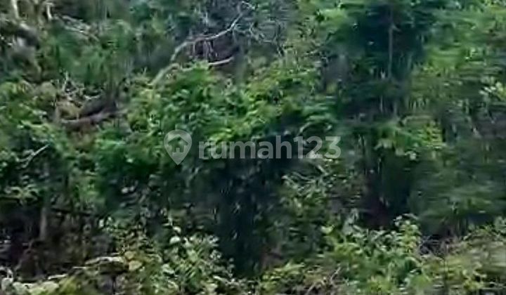 Tanah Jalan Labuan Sait Pecatu Badung Bali