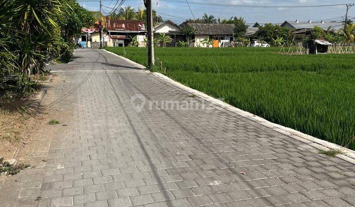 Rumah Style Villa Jln. Cekomaria 2 Lantai 2,5 Are Denpasar Utara 2