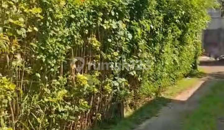 Land Near Batur Sari Road, Sanur, Denpasar, Bali