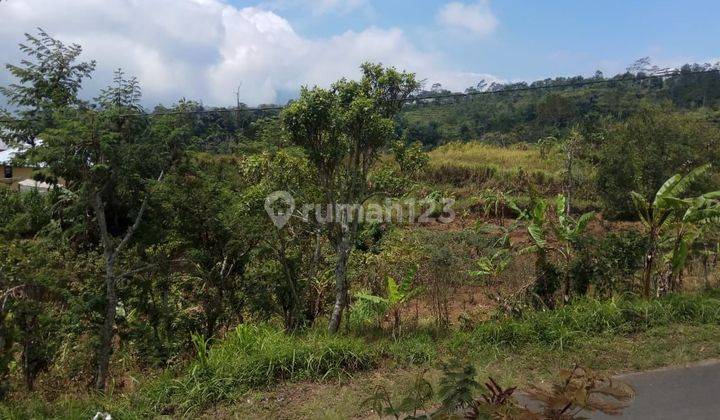 DIJUAL TANAH WANAGIRI KAWASAN WISATA SUKASADA BULELENG 2