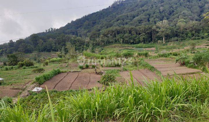 TANAH  DEKAT DANAU TAMBLINGAN  VIEW GUNUNG 1