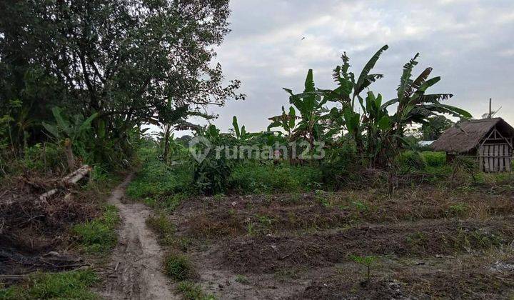 MENGWI LOS SUNGAI MAIN ROAD LAND 