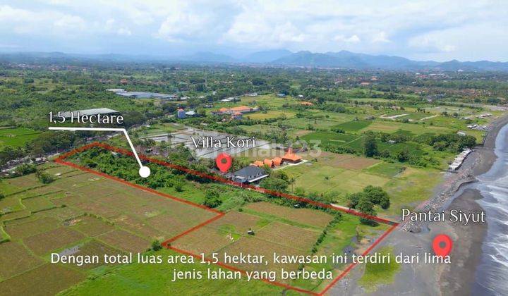 TANAH LOS PANTAI SIYUT TULIKUP 1,5 HEKTAR GIANYAR 1