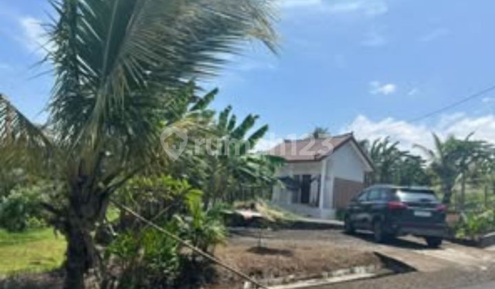 Tanah View Sawah Desa Gunung Salak, Selemadeg Timur, Tabanan Bali