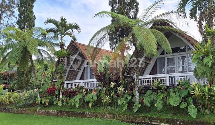 Eco Boutique Hotel Ricefield & Mountain View Baturiti Tabanan Bedugul Bali