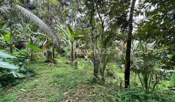 LAND ON THE KELUSA ROAD, TEGALALANG, UBUD, GIANYAR, BALI 1