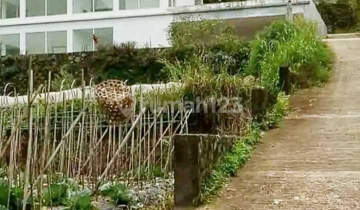 Tanah Bedugul Pancasari Full View Danau Buyan 2 Ha Tanah Bedugul Pancasari Full View Danau Buyan 2 Ha