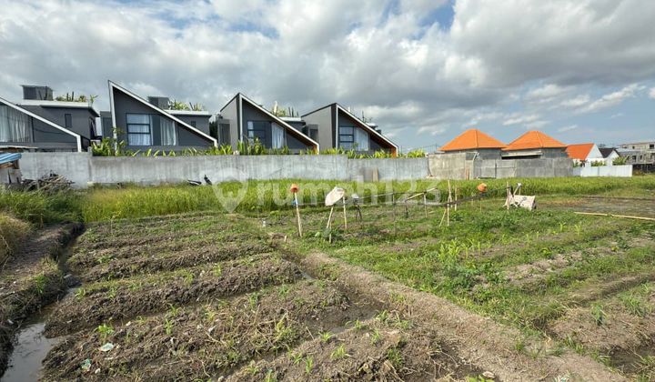 Land Near Pantai Seseh Munggu Badung Bali