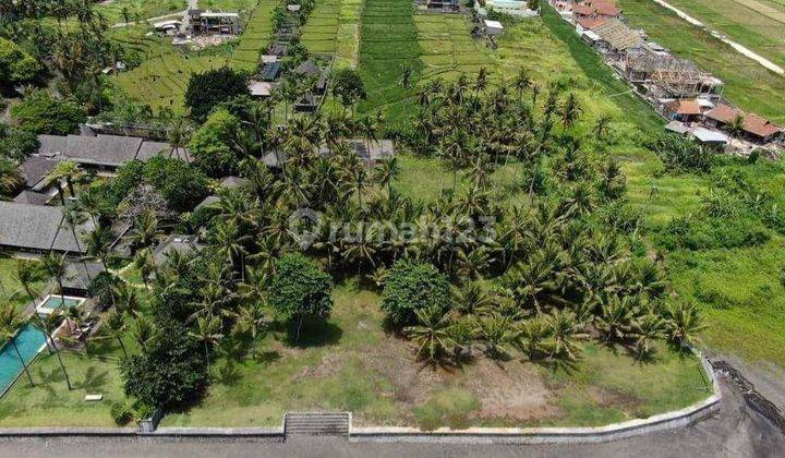 TANAH PANTAI SESEH CEMAGI CANGGU TOTAL 80 ARE BADUNG BALI 2