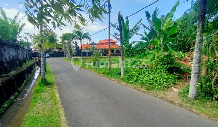 Sading Land, Mengwi, Badung, 200m², Corner Plot