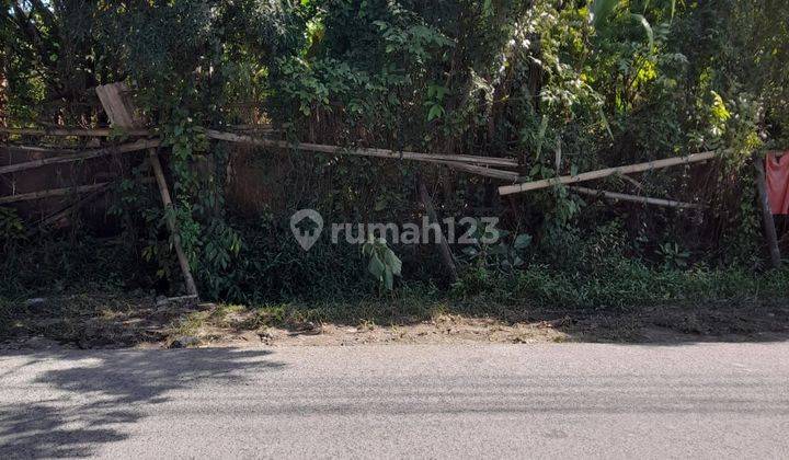 LAND FOR CARGO ROAD KENANGA UBUNG KAJA NORTH DENPASAR 1