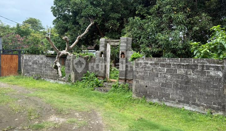 Tanah Siap Bangun Kedonganan Jimbaran Bali Tanah Siap Bangun Kedonganan Jimbaran Bali