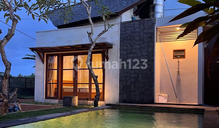 Villa Rumah Gianyar Tegenungan Dekat Waterfall Full Furnish Villa Rumah Gianyar Tegenungan Dekat Waterfall Full Furnish