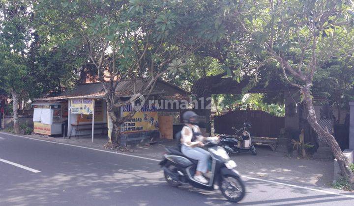 Tanah Jalan Sedap Malam Denpasar Timur 1