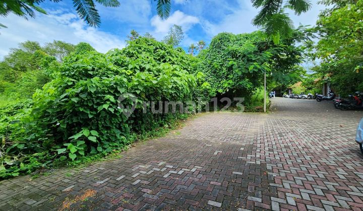 Pererenan Beach Land Canggu Badung Bali Pererenan Beach Land Canggu Badung Bali