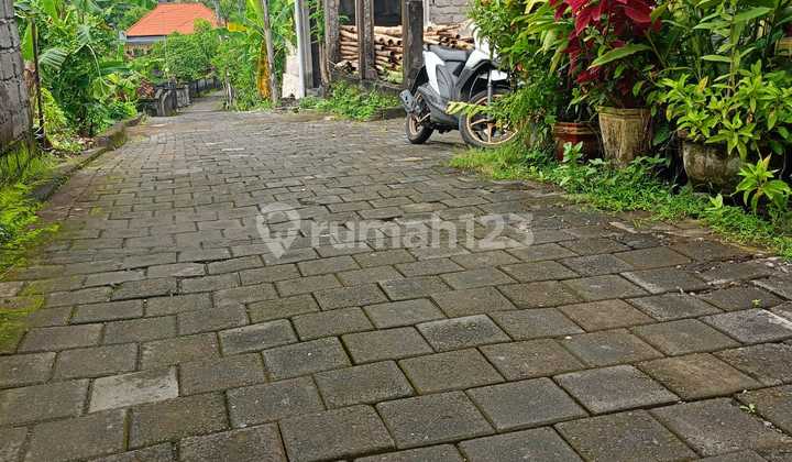 Tanah di Beteng Sari Penatih Denpasar Timur Tanah di Beteng Sari Penatih Denpasar Timur